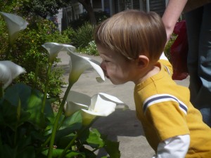 adorable, stop and smell the flowers