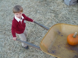 Toddler with a wheelbarrow