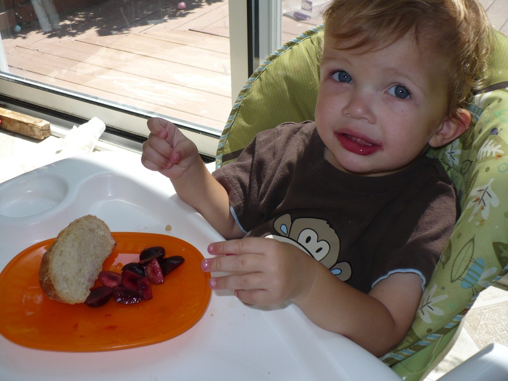 Toddler eating lunch