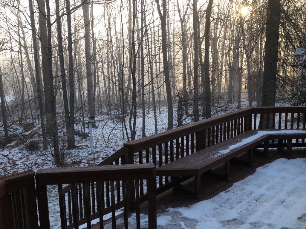 winter mist in the backyard