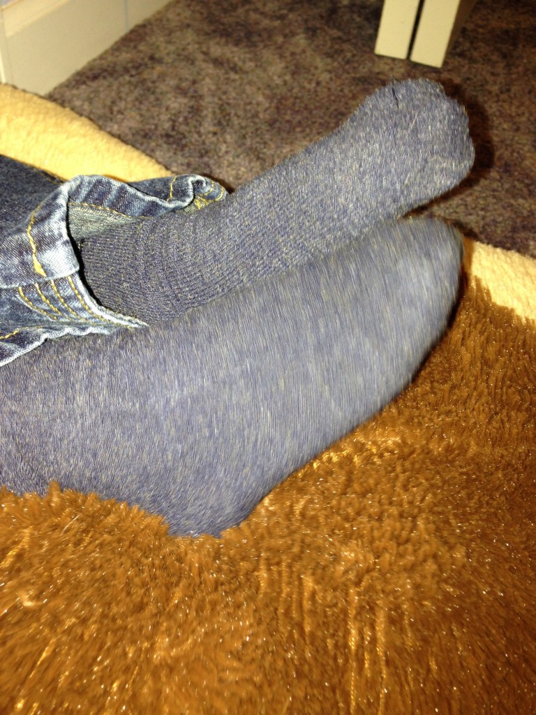 SmartKnitKIDS socks